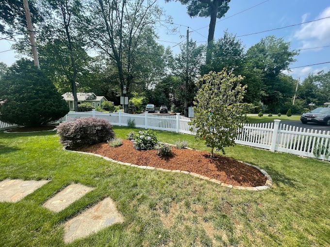 Importance of Tree Care Enhancing Your Boston Property’s Beauty and Value